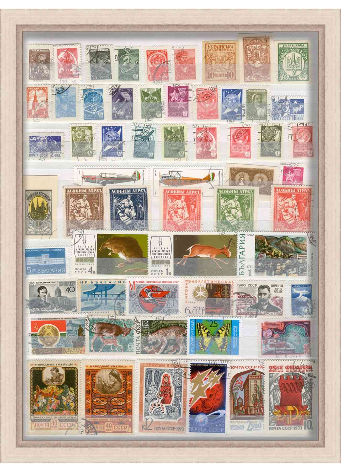 Amazon.co.jp: シャドウボックスフレーム – UVアクリル、酸フリー